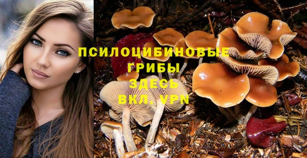 гидропоника Абинск