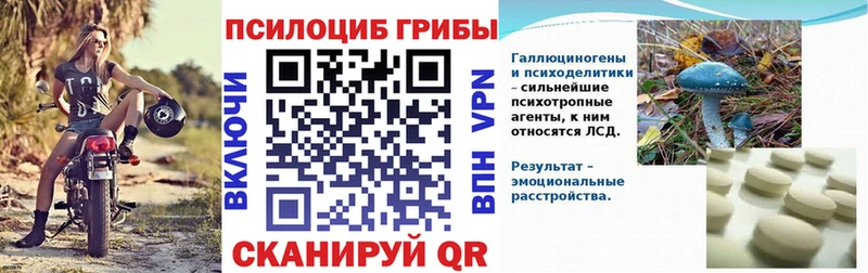 Псилоцибиновые грибы GOLDEN TEACHER  Рязань 